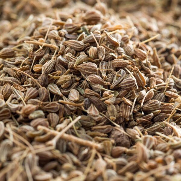 Anis En Grano