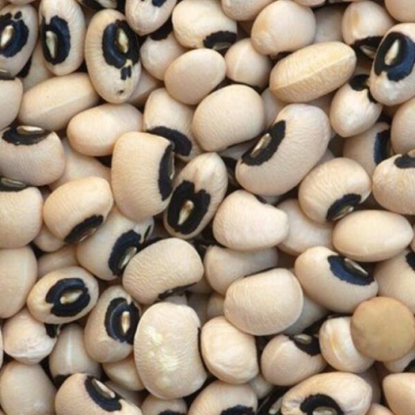 Frijol De Castilla