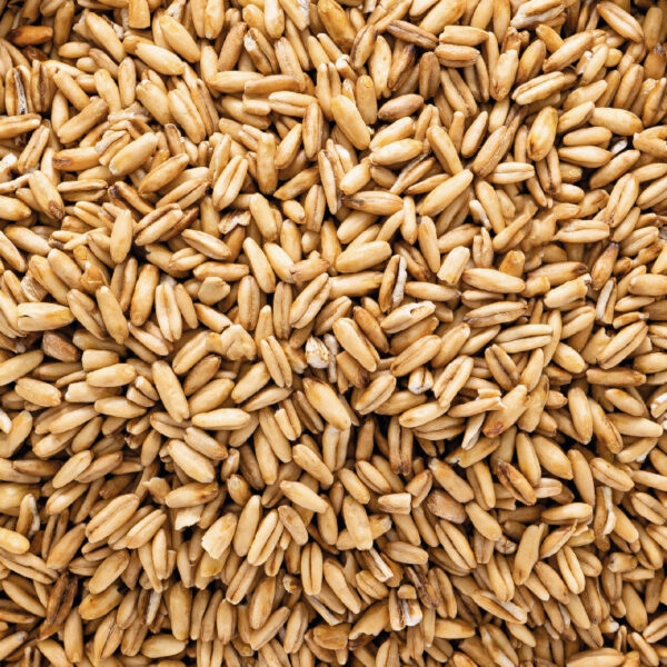 Avena Entera Kg